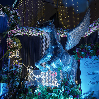 Merrycraft Entertainment Pvt. Ltd.